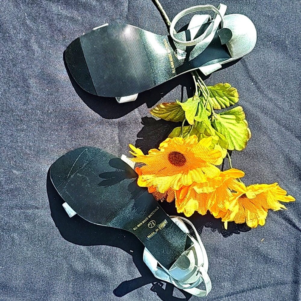 Silver Sandle